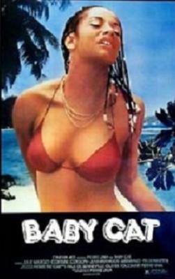 Baby Cat