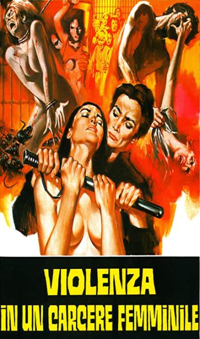Violence in a Women's Prison