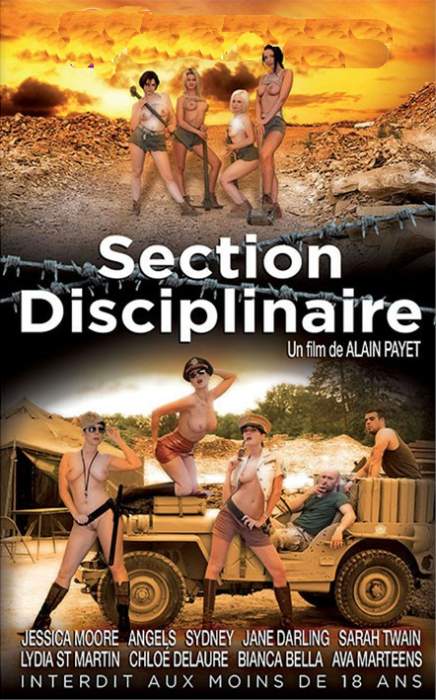 Section disciplinaire